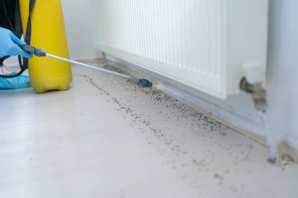 Best Pest Control for Businesses  in Vanceburg, KY